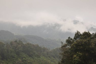 Volkan Bromo, Endonezya tırmanma. Bulutlar krater ve yeşil vadi gizlenmiş