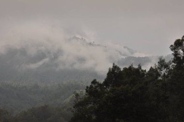 Volkan Bromo, Endonezya tırmanma. Bulutlar krater ve yeşil vadi gizlenmiş