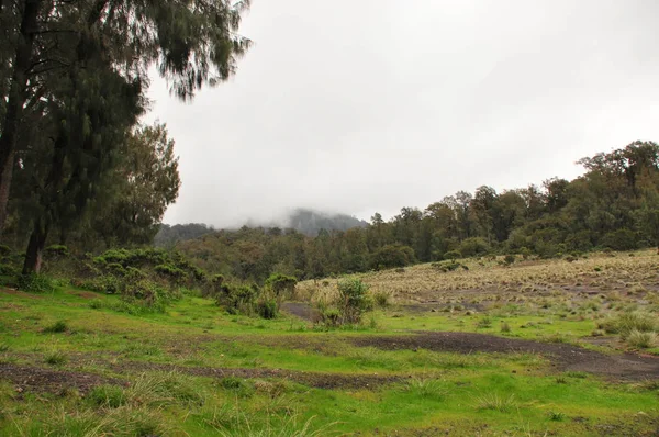 Volkan Semeru, Endonezya tırmanma. Bulutlar krater ve Yeşil Vadi gizlenmiş
