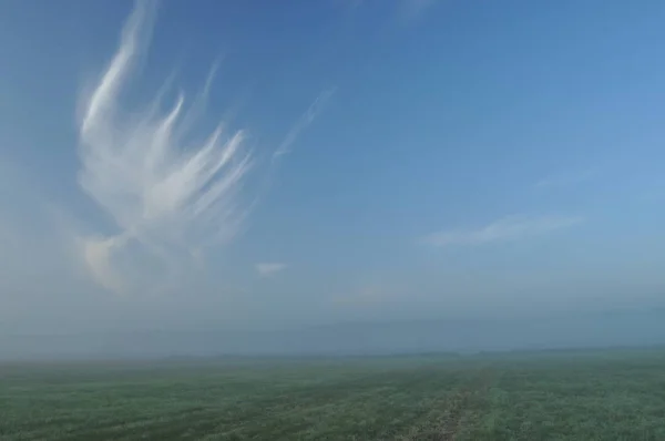 Cielo. Amanecer, amanecer. Nubes sobre el prado . — Foto de Stock