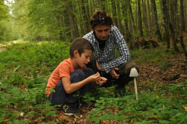 Aile, bir anne ile oğlu ormandaki yenilebilir ve Zehirli mantar tanımlamak için