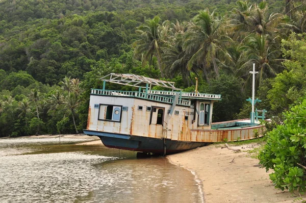 Лодка в джунглях Индонезии. Java. Папоротники и пальмы на склонах корабля в тропиках . — стоковое фото