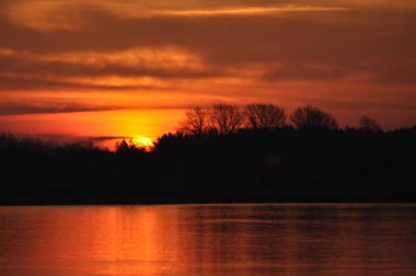 Güneş doğuyor. Güneşli sabah. Güneş ışınları şafak. Aydınlatma bitki sıcak.