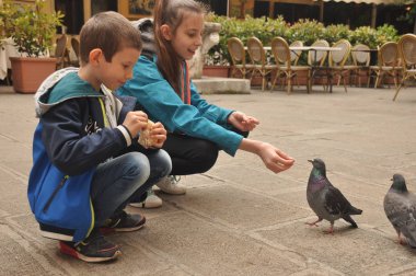 Venedik, bir yaya Caddesi üzerinde çocuklar tarafından ekmek kırıntısı beslenen güvercinler.