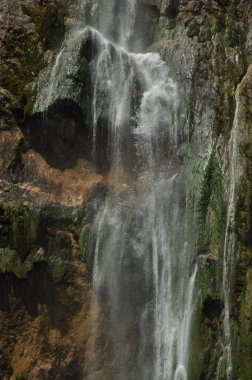 Yüksek şelale, gölün içine kayaların üzerinden akan su. Milli Park Plitvice Gölleri. Hırvatistan'da turizm.