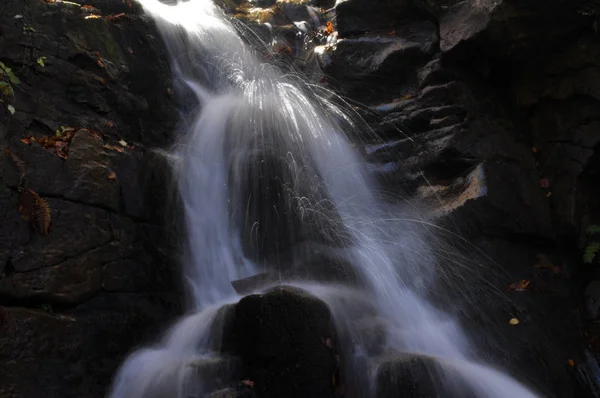 Zdroj Visly. Krystalický stream, čistou vodu a vodopád — Stock fotografie