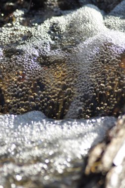 Sel. Hızlı akan dere. Bir şelale temiz, saf su