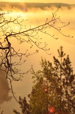 Güneş doğuyor. Nehre sis. Çayırlar ve sabah nehirde bir görünüm.