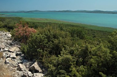 Göl Vrana. Hırvatistan rezerv. Göl kıyısında yürüyüş