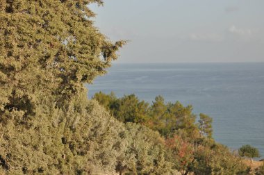 Kıbrıs'ta Akamas Milli Parkı. Mavi lagün ve kristal berraklığında su dağlardan görüntülemek