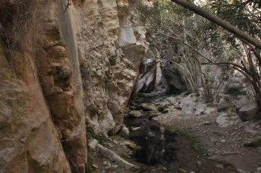 Gorge Avakas Kıbrıs. Kayalar ve yüksek duvarlar.