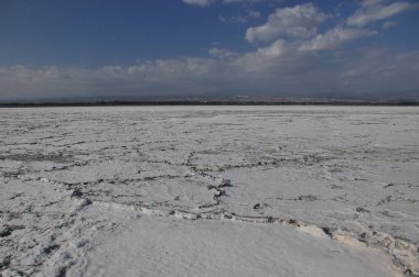 Tuzlu kuru ve kırık Gölü Akrotiri Kıbrıs.