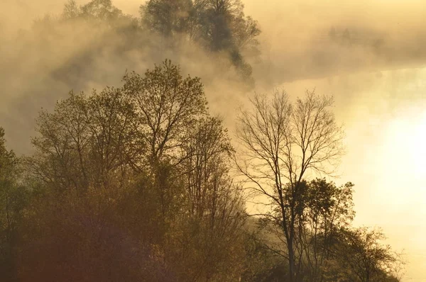 Sunrise. The river in the mist. A view of the meadows and the river in the morning.