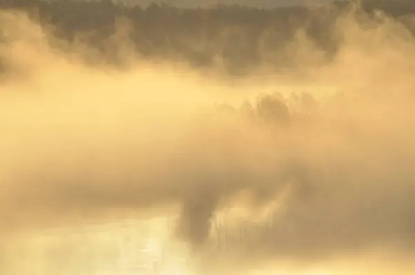 Восход Солнца Река Тумане Вид Луга Реку Утром — стоковое фото