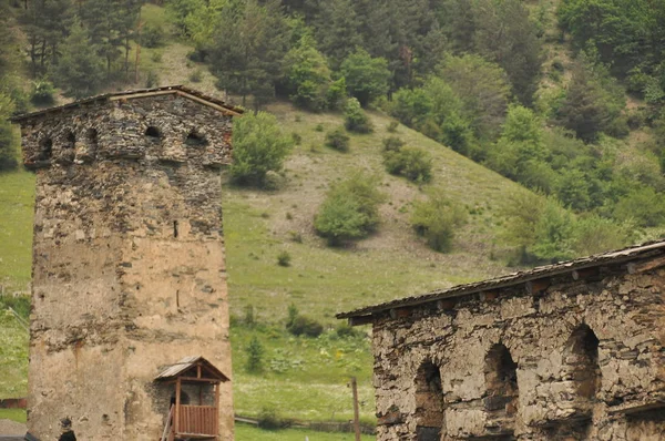 Georgien Swan Tower Bostads Byggnad Defensiva Bergen Caucasus — Stockfoto