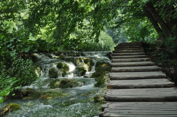 Yaya Köprüsü ve köprüler Plitvice Gölleri Milli Parkı'nda Hırvatistan. Tatil