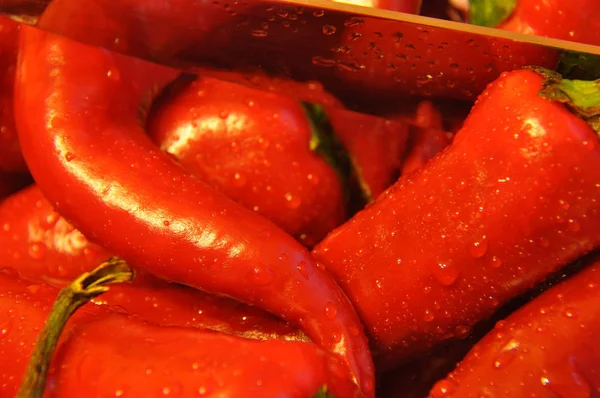 Pimienta Picante Vainas Verduras Rojas Picante —  Fotos de Stock