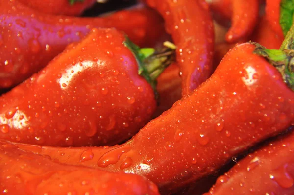 Hot Pepper Skida Röda Grönsaker Kryddig — Stockfoto