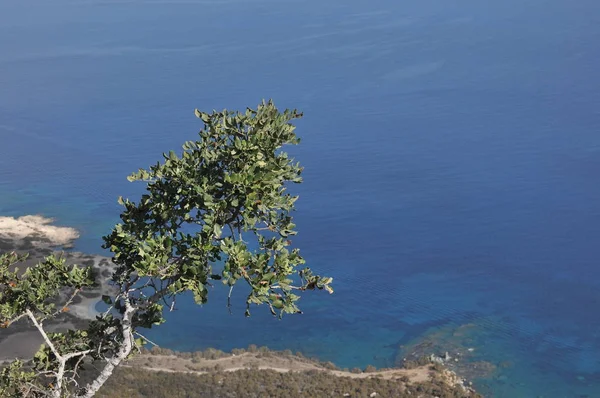 Parku Narodowego Akamas Cypr Widok Góry Błękitną Lagunę Krystalicznie Czystej — Zdjęcie stockowe
