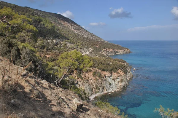 Akamas 国家公园在塞浦路斯 从高山到蓝色泻湖和清澈的湖水 — 图库照片
