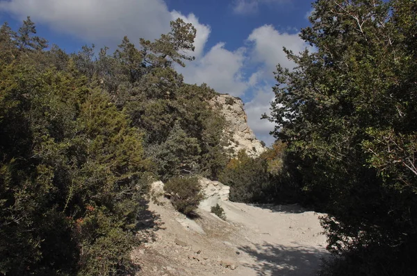 Schlucht Avakas Zypern Felsen Und Hohe Mauern — Stockfoto