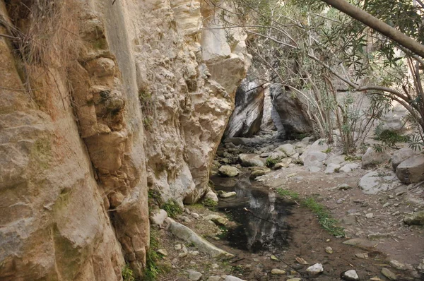 Gorge Avakas Kıbrıs Kayalar Yüksek Duvarlar — Stok fotoğraf