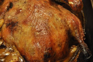 Elma ve cranberries ile ördek. Tencere içinde pişmiş tavuk.