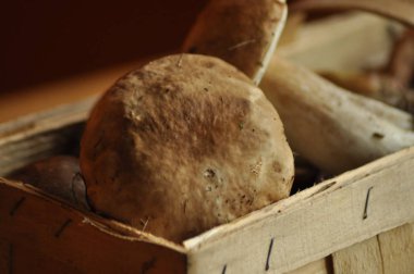 Çörek. Yenilebilir mantar bir sepet, Lubyanka yatan. Mantar.