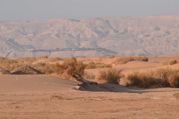 Sand dunes in Jordan. Desert at the Royal Route.