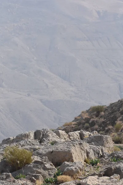 Forteresse Karak Jordanie Les Ruines Château Situé Sur Une Haute — Photo