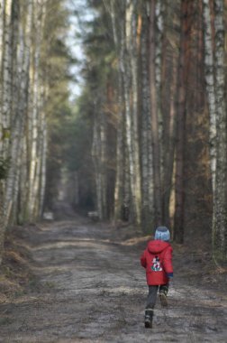 Çocuk, ormandaki çocuk. Temiz havada eğlenmek. Orman yolunda bir yürüyüş..