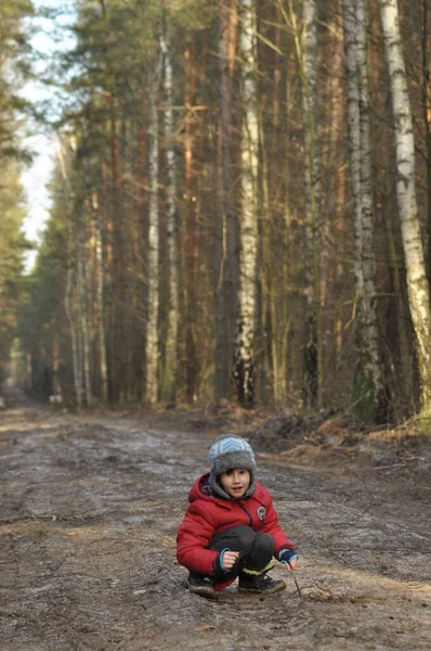 Boy Child Forest Fun Fresh Air Walk Forest Path — Stock Photo, Image