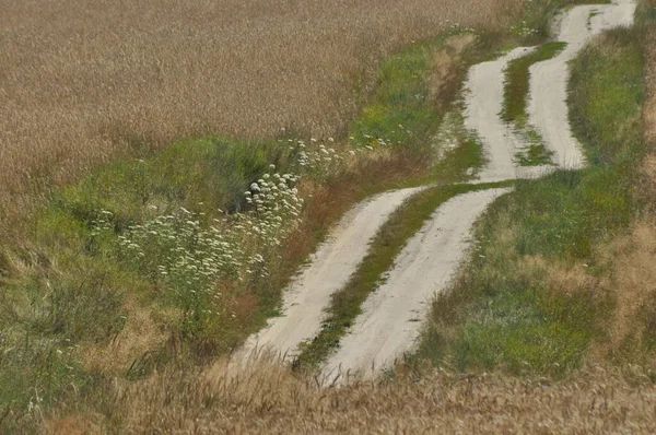 Eine Landstraße Durch Ackerland Sandigen Hügeln Auf Dem Weg Landschaft — Stockfoto