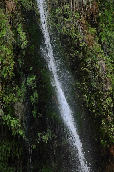 Zielona Oaza Wodospadem Jeziorami Parku Narodowym Ein Gedi Izraelu Nad — Zdjęcie stockowe