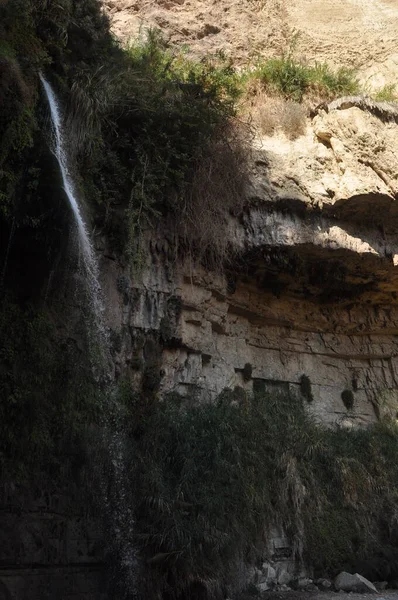 Een Groene Oase Met Een Waterval Meren Het Ein Gedi — Stockfoto