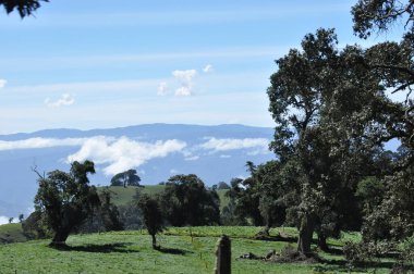 Kosta Rika 'daki Irazu volkanının tarım yamaçlarında verimli topraklar ve güneşli yamaçlarda sayısız mahsul var. Vadi volkanik koninin altında asılı bulutlarla çevrilidir..