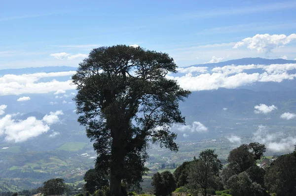 Pendientes Agrícolas Del Volcán Irazu Costa Rica Con Suelo Fértil — Foto de Stock