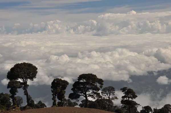 コスタリカの火山イラズの農業斜面肥沃な土壌と日当たりの良い斜面に多数の作物 谷は火山錐の下に浮遊する雲に囲まれている — ストック写真