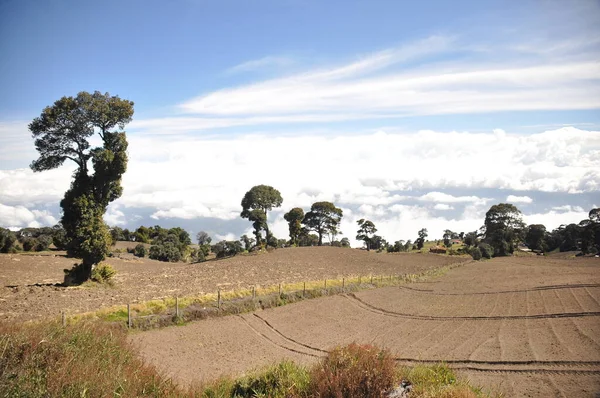 Kosta Rika 'daki Irazu volkanının tarım yamaçlarında verimli topraklar ve güneşli yamaçlarda sayısız mahsul var. Vadi volkanik koninin altında asılı bulutlarla çevrilidir..