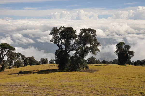 Agricultural Slopes Volcano Irazu Costa Rica Fertile Soil Numerous Crops — Stock Photo, Image