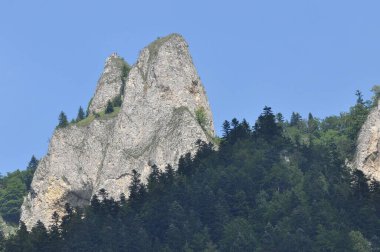 Kel dağ tepeleri, Polonya 'daki Pieniny Ulusal Parkı' nda üç taç. Sallarla rafting sırasında Dunajec nehir yatağını görüntüle.