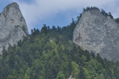 Kel dağ tepeleri, Polonya 'daki Pieniny Ulusal Parkı' nda üç taç. Sallarla rafting sırasında Dunajec nehir yatağını görüntüle.
