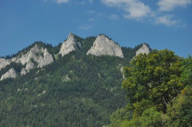 Kel dağ tepeleri, Polonya 'daki Pieniny Ulusal Parkı' nda üç taç. Sallarla rafting sırasında Dunajec nehir yatağını görüntüle.
