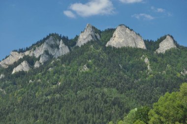 Kel dağ tepeleri, Polonya 'daki Pieniny Ulusal Parkı' nda üç taç. Sallarla rafting sırasında Dunajec nehir yatağını görüntüle.