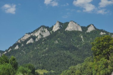 Kel dağ tepeleri, Polonya 'daki Pieniny Ulusal Parkı' nda üç taç. Sallarla rafting sırasında Dunajec nehir yatağını görüntüle.