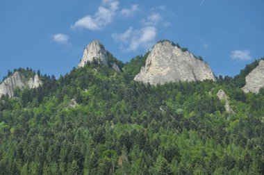 Kel dağ tepeleri, Polonya 'daki Pieniny Ulusal Parkı' nda üç taç. Sallarla rafting sırasında Dunajec nehir yatağını görüntüle.