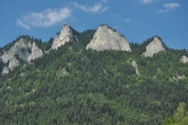 Kel dağ tepeleri, Polonya 'daki Pieniny Ulusal Parkı' nda üç taç. Sallarla rafting sırasında Dunajec nehir yatağını görüntüle.