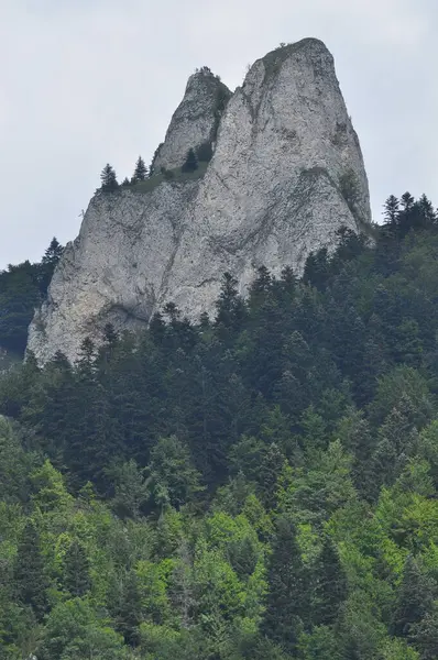 Montagnes Chauves Trois Couronnes Dans Parc National Pieniny Pologne Vue — Photo