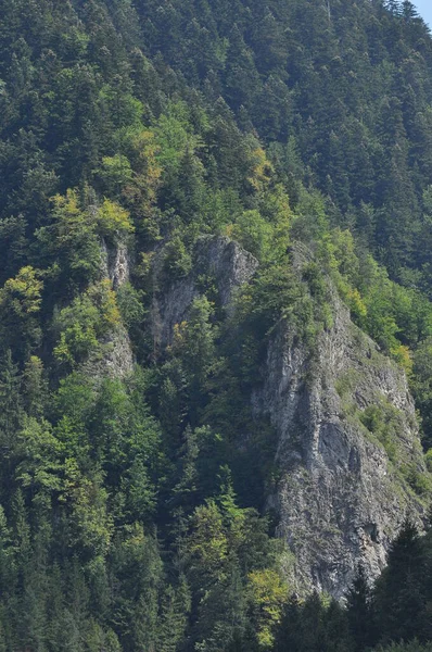 Kale Bergtoppen Drie Kronen Het Pieniny National Park Polen Uitzicht — Stockfoto