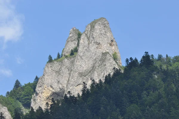 Kel dağ tepeleri, Polonya 'daki Pieniny Ulusal Parkı' nda üç taç. Sallarla rafting sırasında Dunajec nehir yatağını görüntüle.